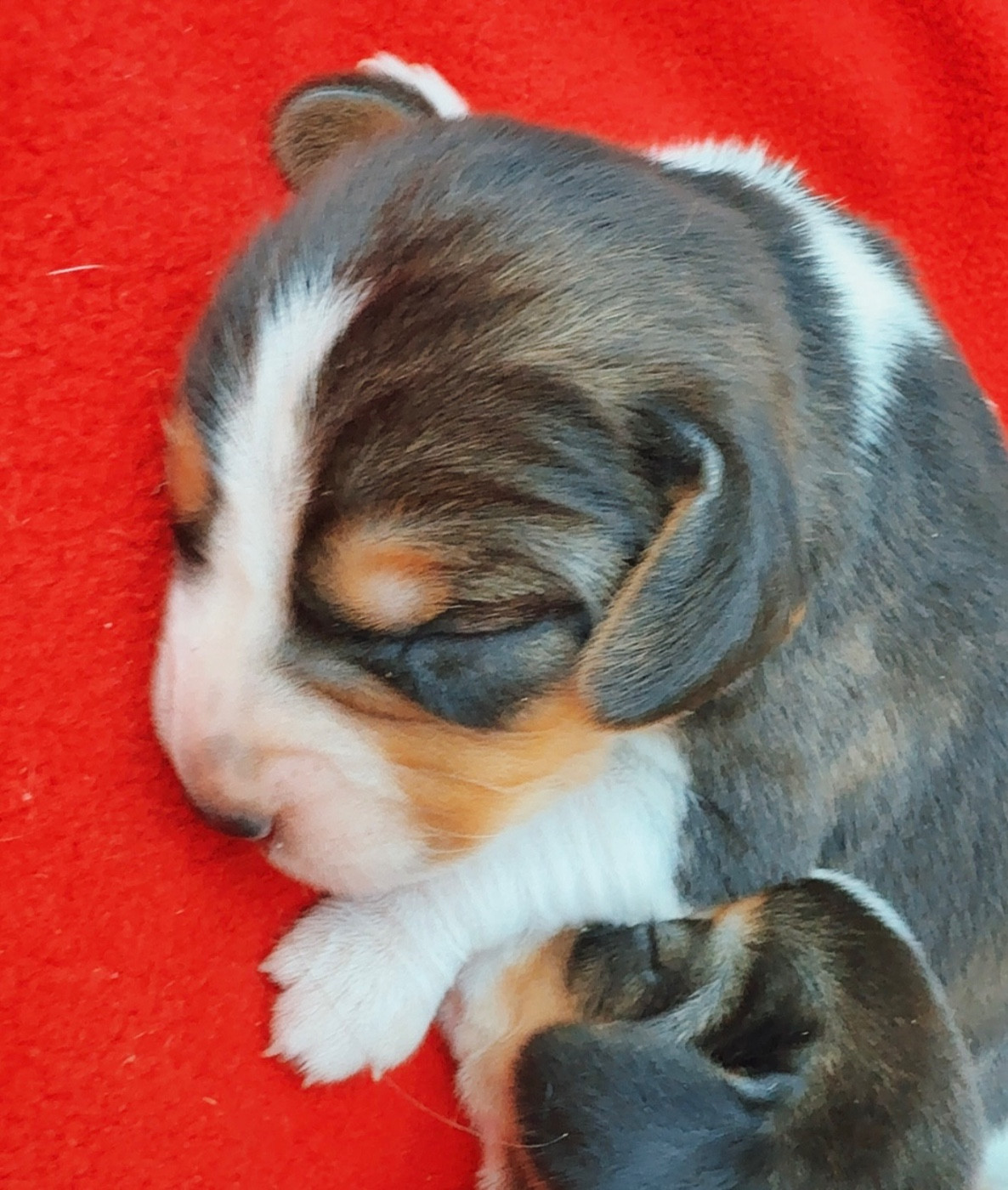 Portée du 05/10/2025